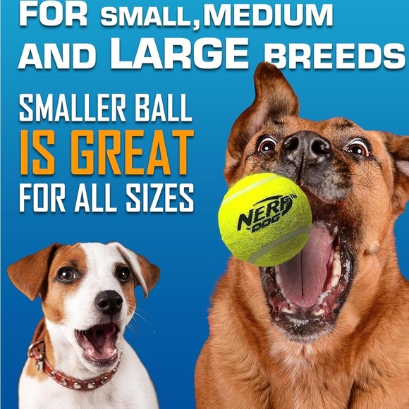 Toys Nerf Dog Ball Launcher - Blue and Orange - Picture 3 of 12